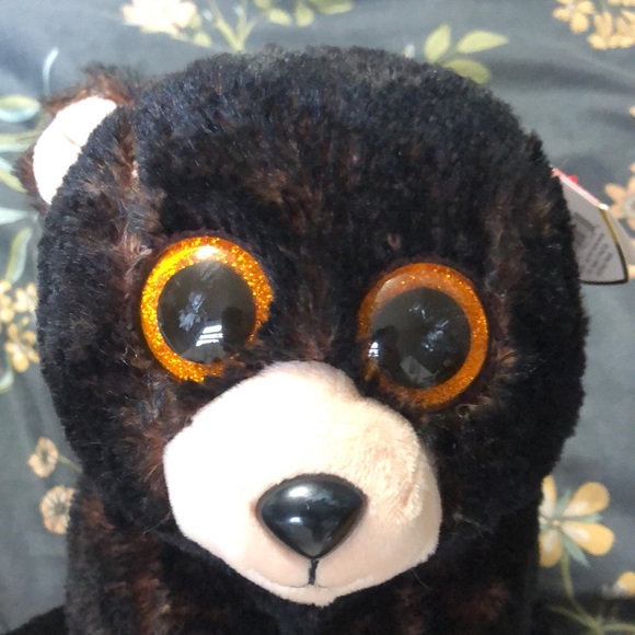 TY Classic Collection Velvety Kodi Bear Stuffed Animal - Picture 5 of 8